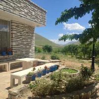 فروش باغ|فروش زمین و ملک کلنگی|موچش, |دیوار