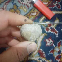 فسیل قدیمی زیبا|کلکسیون اشیاء عتیقه|مبارکه, |دیوار