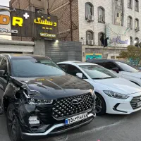 نقاش و لیسه کار ماهر