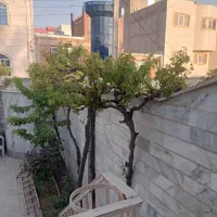65-متر-موقعیت-اداری