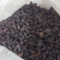 مویزمحلی شیراز کلیوی 150000|عمدهفروشی|امیدیه, |دیوار