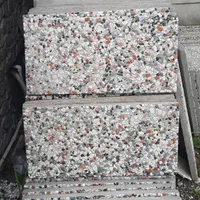 تولید عمده و خرده موزاییک نانوپلیمری و واش بتن|مصالح و تجهیزات ساختمان|چالوس, |دیوار