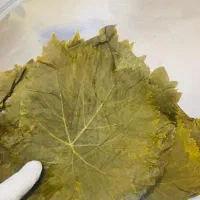 برگ مو برگ دلمه خراسان