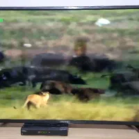 تلویزیون ال ای دی ۵۰