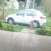 کوئیک جی ایکس صفر
