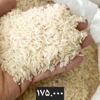 برنج فجر|خوردنی و آشامیدنی|گرگان, |دیوار