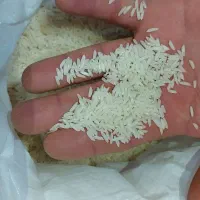 برنج‌هاشمی‌درجه‌۱محصول۱۴۰۴|خوردنی و آشامیدنی|رشت, گلباغ نماز|دیوار