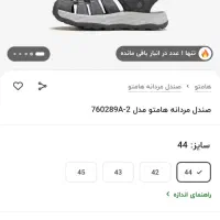 کفش هامتو|کیف، کفش، کمربند|صفادشت, |دیوار