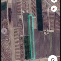 باغ انگور بیدانه و زمین زراعی