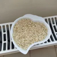 برنج کامفیروزی|عمدهفروشی|صدرا-فارس, فاز ۱|دیوار