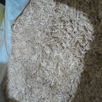 کاه|عمدهفروشی|اسدآباد, |دیوار