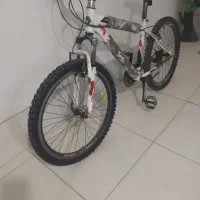 ویوا اکسیژن سایز 26