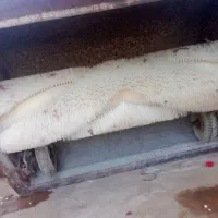 فرچه تک فاز قالیشویی اهر|لوازم نظافت|اهر, |دیوار