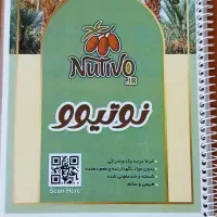 خرما بوشهر  (ارسال رایگان)