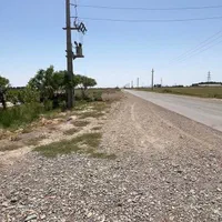 8/500مترزمین بامجوزگلخانه(سند۶دانگ تک برگ)داودآباد|فروش دفتر صنعتی، کشاورزی، تجاری|قرچک, داوود آباد|دیوار