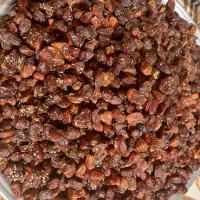 فروش ۲۰ کیلو خرمای بریم