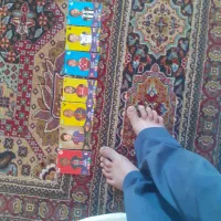 33عدد کیمدی کود نخرده