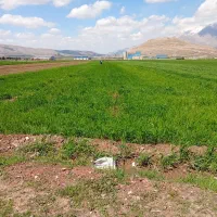 زمین-کشاورزی-بر-جاده-اصلی-روبه-روی-روستای-چهر