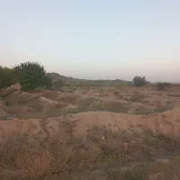 فروش زمین کشاورزی