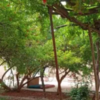 اجاره-خانه-ویلایی-700متری-سرآسیاب-فرسنگی