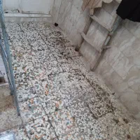 خانه فروشی منبع اب|فروش خانه و ویلا|اهواز, منبع اب|دیوار