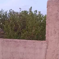 فروش 500متر باغ ویلایی|فروش خانه و ویلا|صوفیان, |دیوار