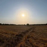 زمین کشاورزی، باغچه ای|فروش دفتر صنعتی، کشاورزی، تجاری|نظرآباد, نظرآباد|دیوار