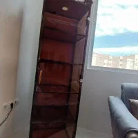 ویترین فرفوژه شیشه ای