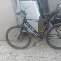 دوچرخه 26 ویوا