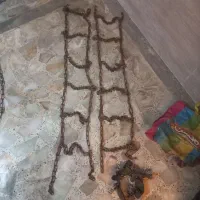 زنجیر چرخ پراید