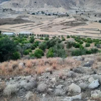 فروش زمین کشاورزی ابی|فروش دفتر صنعتی، کشاورزی، تجاری|سوق, |دیوار