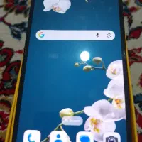 poco m6pro 256