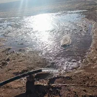 زمین کشاورزی|فروش دفتر صنعتی، کشاورزی، تجاری|صالح آباد, |دیوار