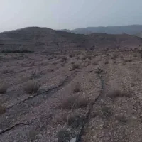 یک موقعیت استثنایی برای صاحب باغ شدن با نصف قیمت|فروش دفتر صنعتی، کشاورزی، تجاری|جهرم, |دیوار