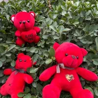 کادوی ولنتاین با بهترین قیمت از ما بخواه