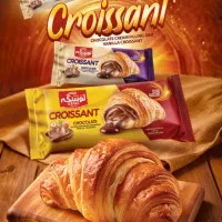 استخدام آقا و خانم