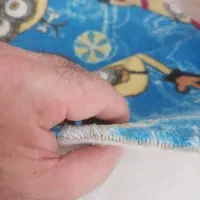 موکت|موکت|بندر کنگان, |دیوار