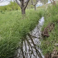 باغ گوزلدره|فروش خانه و ویلا|باغ حلی, |دیوار