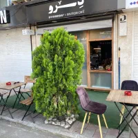 باریستا|استخدام خدمات فروشگاه و رستوران|رشت, بلوار گیلان|دیوار