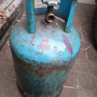 کپسول بوتان سالم سالم