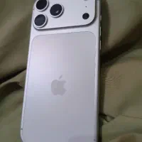 17 پرومکس خشک pro max