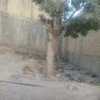 فروش زمین ۱۰۵ متری در شاپورجان|فروش زمین و ملک کلنگی|شیراز, شاپورجان|دیوار