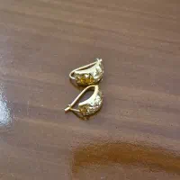 گوشواره،وان یکاد، حلقه طلا