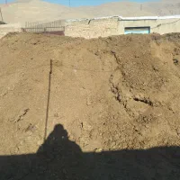 کود خالص گاوی درجه یک