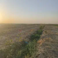 فروش باغ پسته|فروش دفتر صنعتی، کشاورزی، تجاری|سمنان, |دیوار