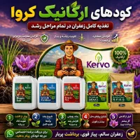 استخدام نیروی کار در هلدینگ kerva