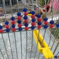 سهره نر قلمی کشیده بخون