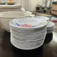 ظروف ملامین