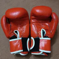 دستکش بوکس|تجهیزات ورزشی|مشهد, بهاران|دیوار