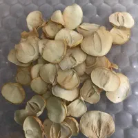 موسیر خشک